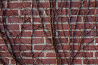 red brick pavers for wall