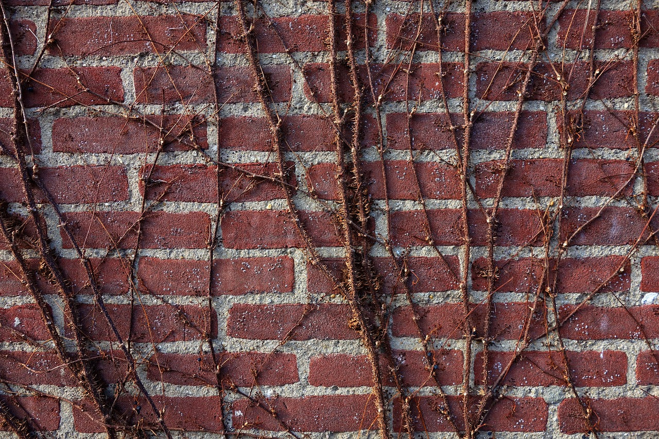 red brick pavers for wall