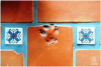 saltillo tile paw print