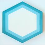 rts23 hexagon cement tile