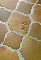 12x12 Saltillo Tile with Paw Prints